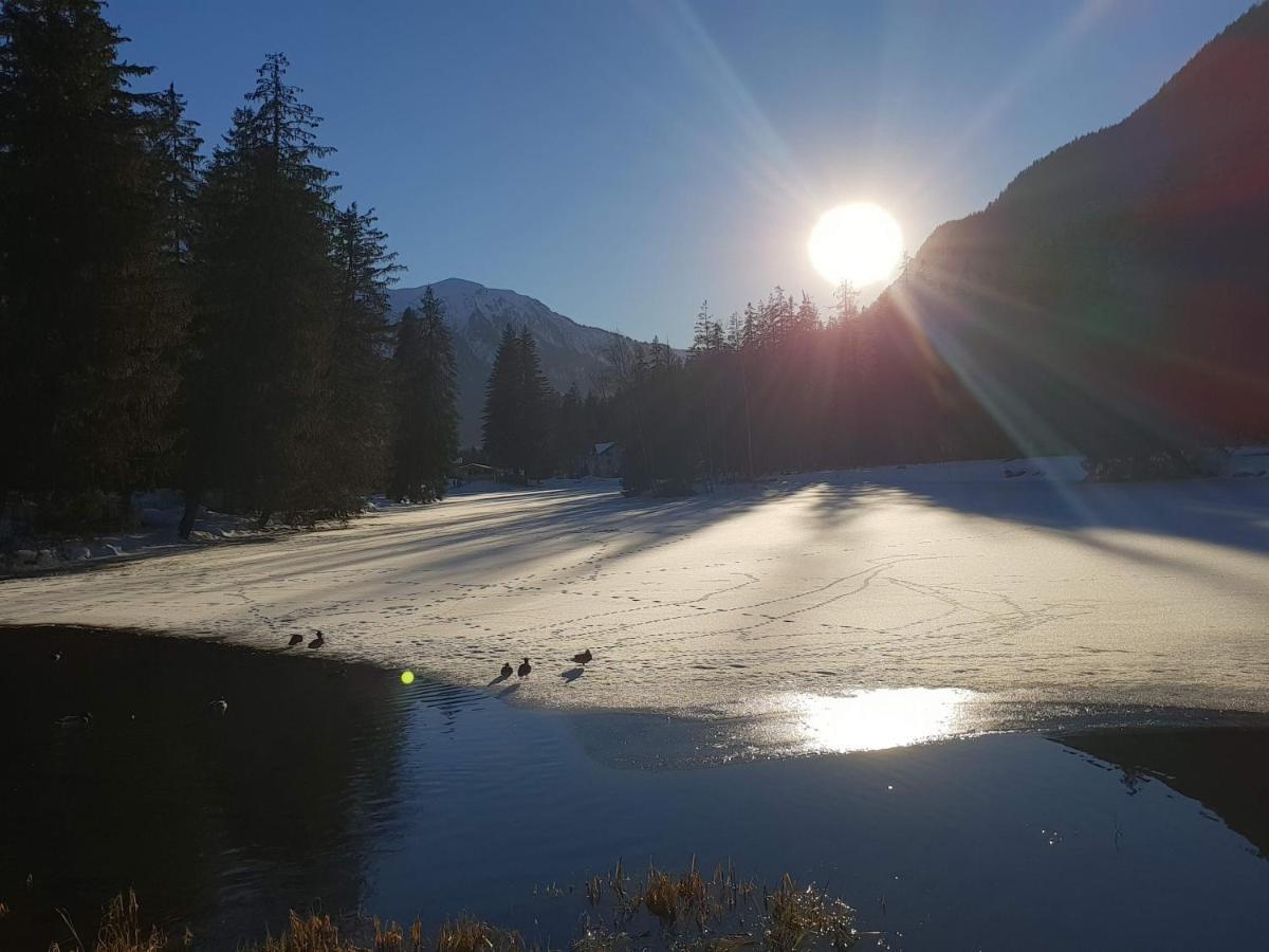 Alpenrose Chamonix Hostel Екстериор снимка