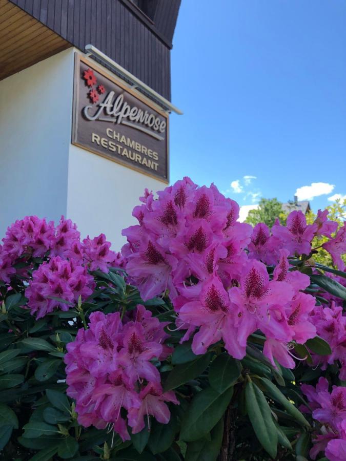 Alpenrose Chamonix Hostel Екстериор снимка